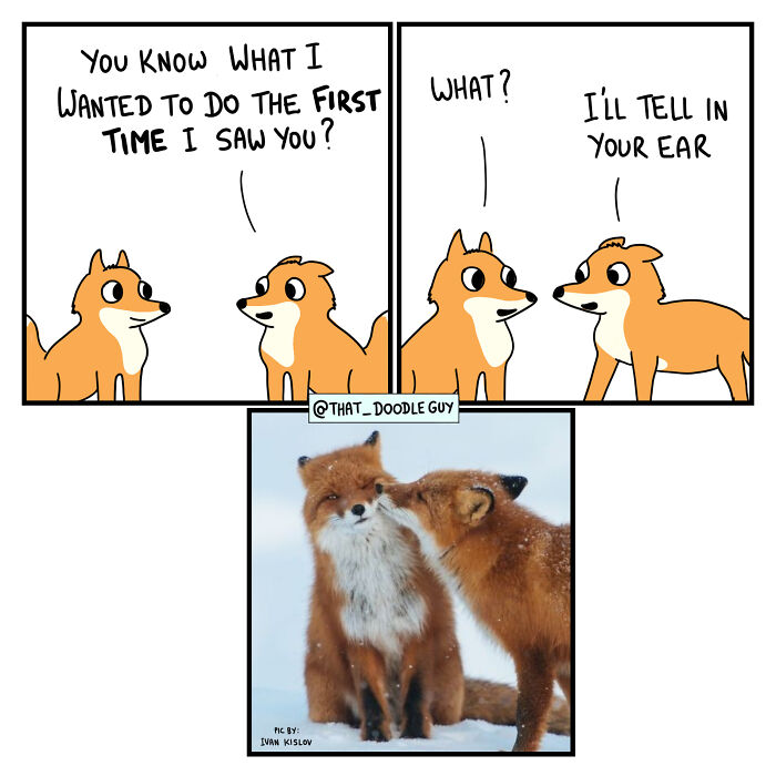 My 40 Wholesome Comics Showing The Backstory Of Popular Animal Pictures