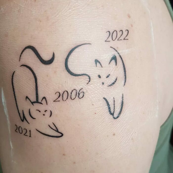 Pet tattoos: minimalistic cat designs with years 2021, 2006, and 2022 on skin, representing beloved pets.