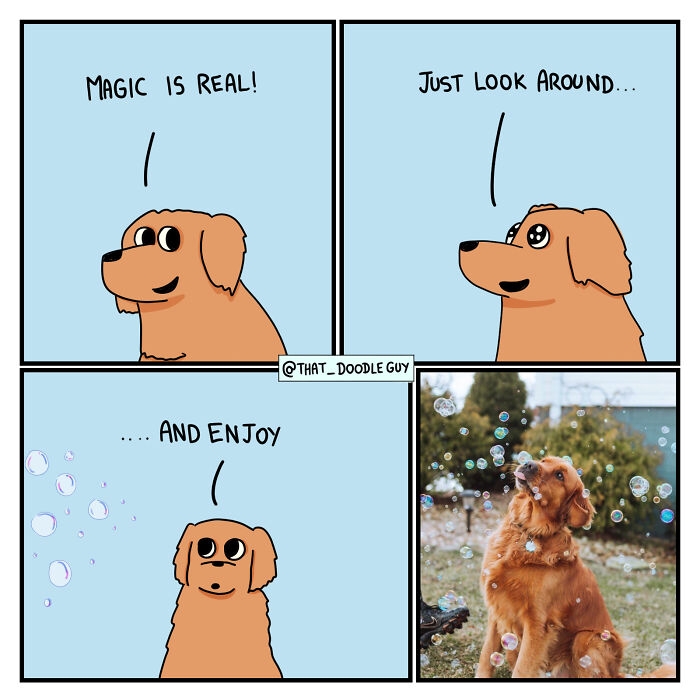 My 40 Wholesome Comics Showing The Backstory Of Popular Animal Pictures