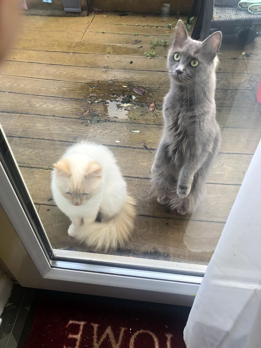 Waiting for breakfast