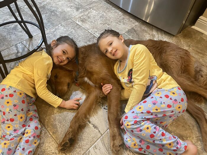 10 Inspiring Stories Of Pets Who Became Heroes Of 2022