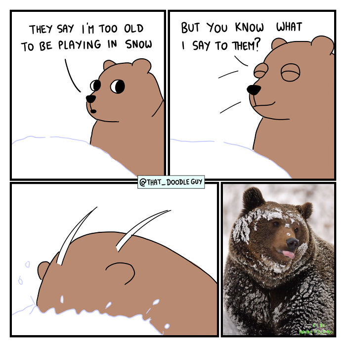 My 40 Wholesome Comics Showing The Backstory Of Popular Animal Pictures