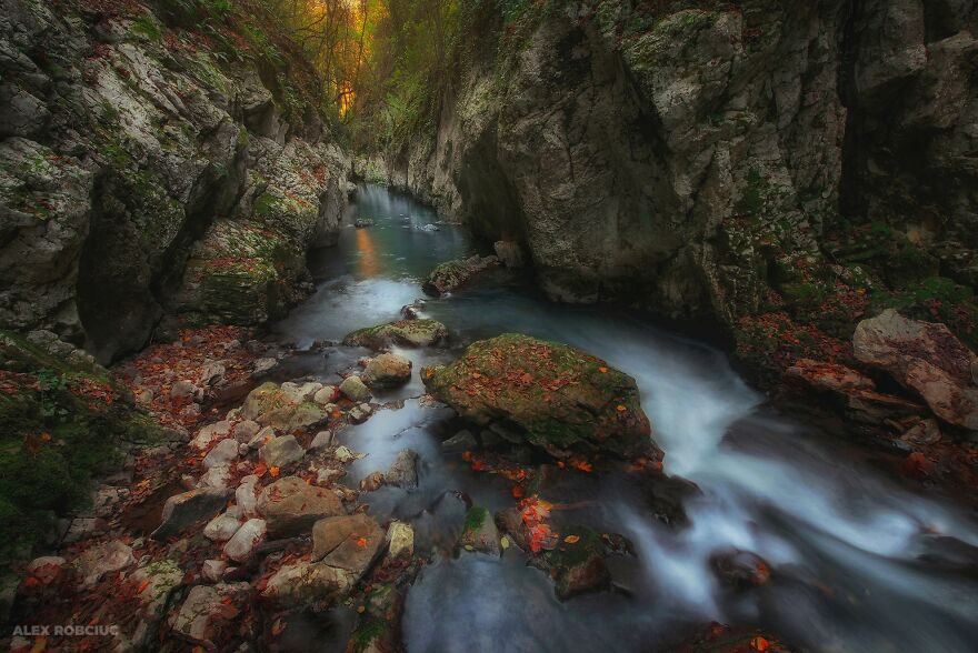 Here Are My Best 20 Photos From 2022