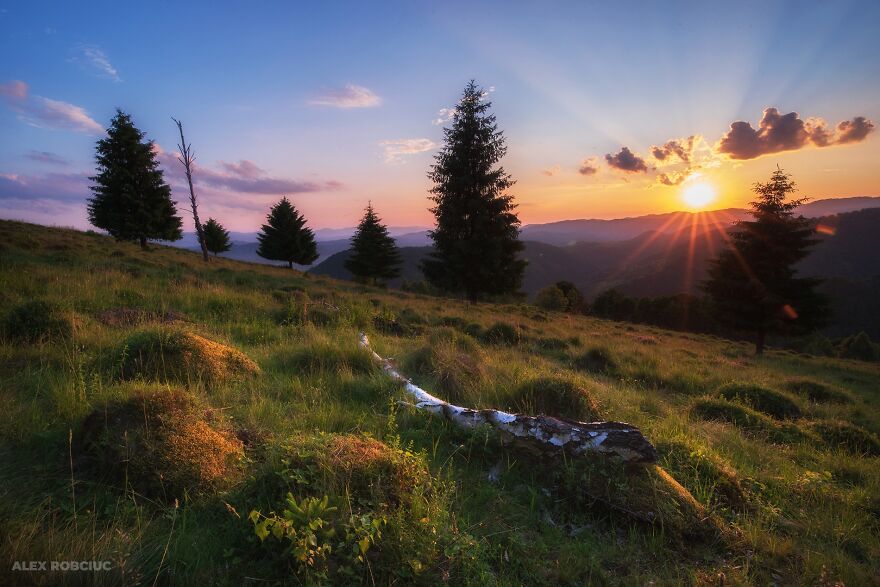 Here Are My Best 20 Photos From 2022