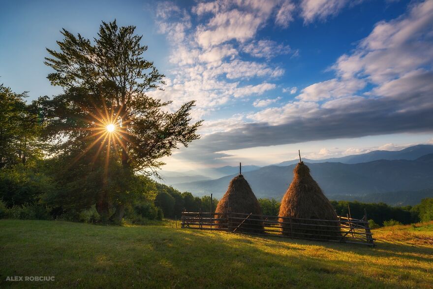 Here Are My Best 20 Photos From 2022