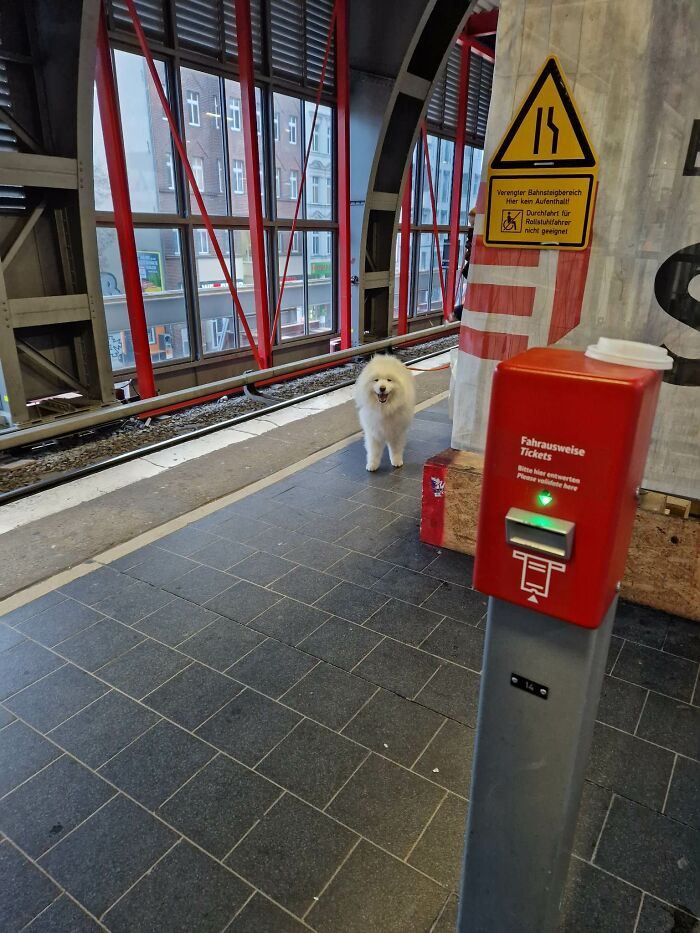 No hay nada mejor que una nube feliz de camino al trabajo. (Lo siento si no está relacionado, ya que aquí sólo se admiten perros...)