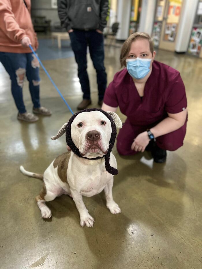 This Dog&rsquo;s New Crocheted Ears Gained Him Attention Online That Sped Up His Adoption