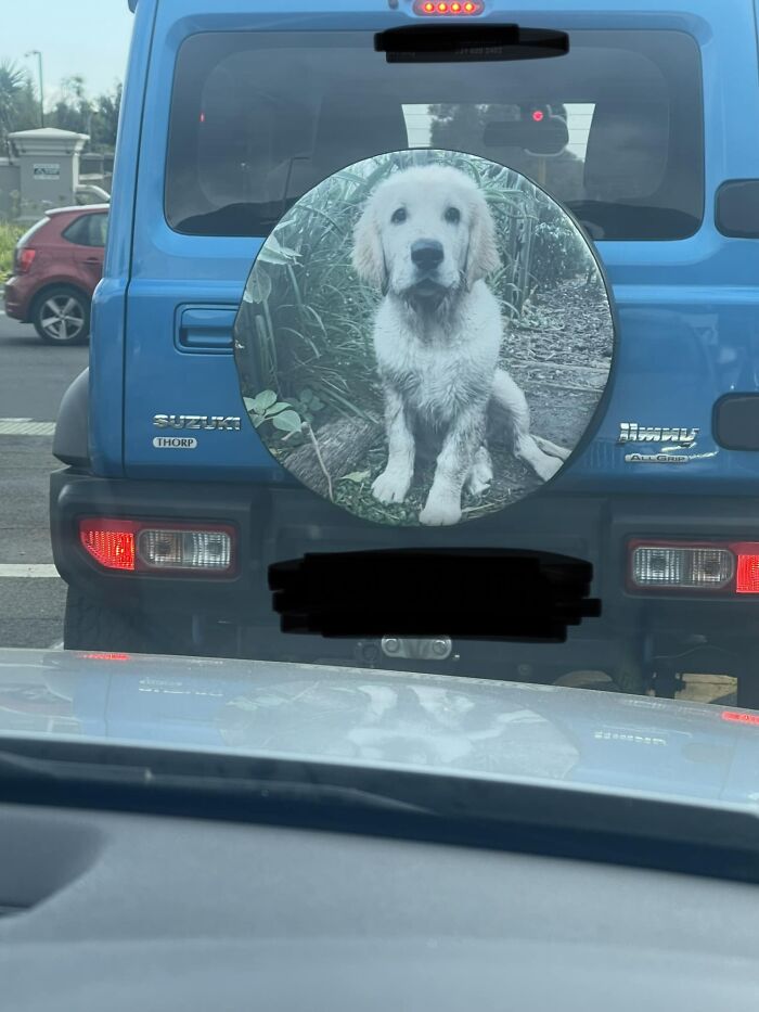 Almost Missed My Turnoff Because I Was Too Focused On This Cute Little Goober. It Looked Like The Real Life Goober Was In The Car Too But I Couldn’t Get A Picture