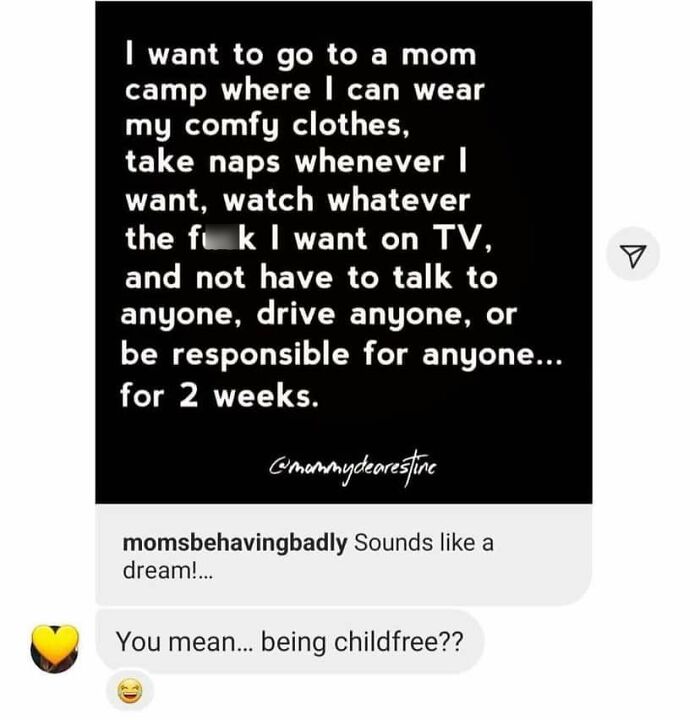 Funny-Childfree-Life-Humor