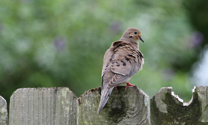 35 Lessons People Admit They Learned Embarrassingly Late In Life, As Shared In This Online Group