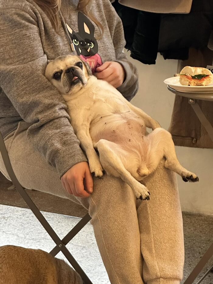 Cute Bread Loaf Spotted In A Bagel Shop Today
