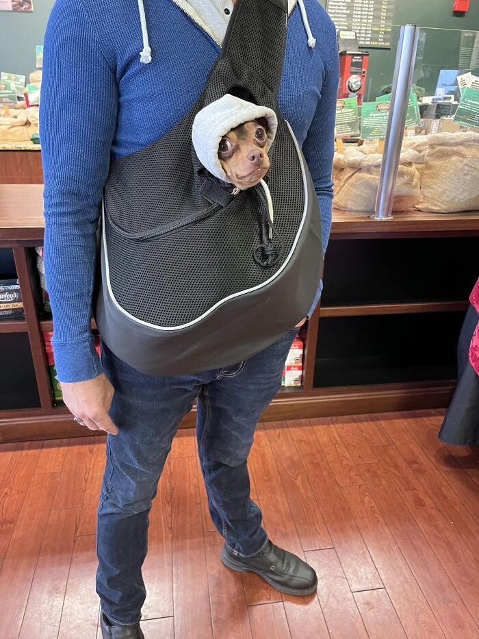 Este es Patrick. Patrick es adorable