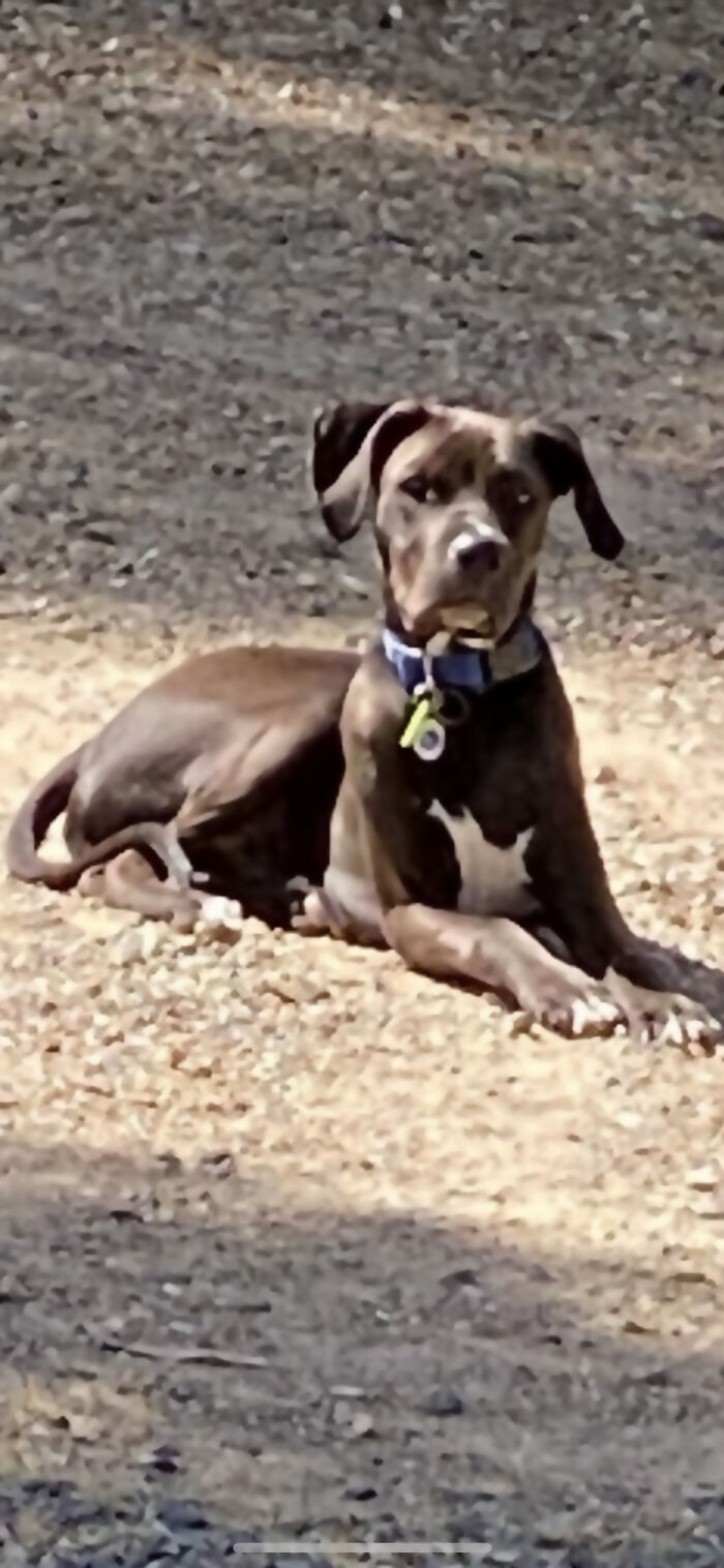 A Little Bit Blurry But Still Love It