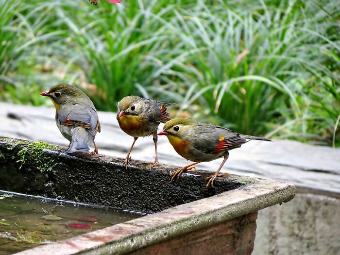 "The Road To Hell Is Paved With Good Intentions": 30 Times People Wanted Nothing But Good Yet It All Ended Badly, As Told In This Online Group