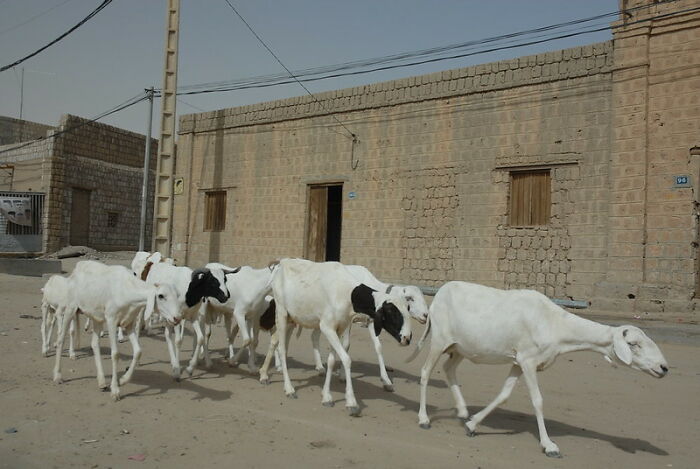 35 Lessons People Admit They Learned Embarrassingly Late In Life, As Shared In This Online Group