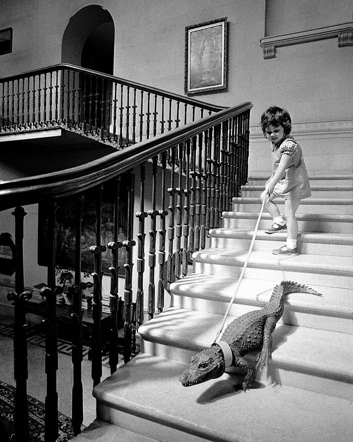 56 New Photos Of Fascinating Moments From The Streets Shared By This Instagram Account