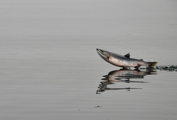 30 Of The Most Unusual, Most Mysterious, Or Just Weird Things Seafarers Ever Experienced During Their Journeys