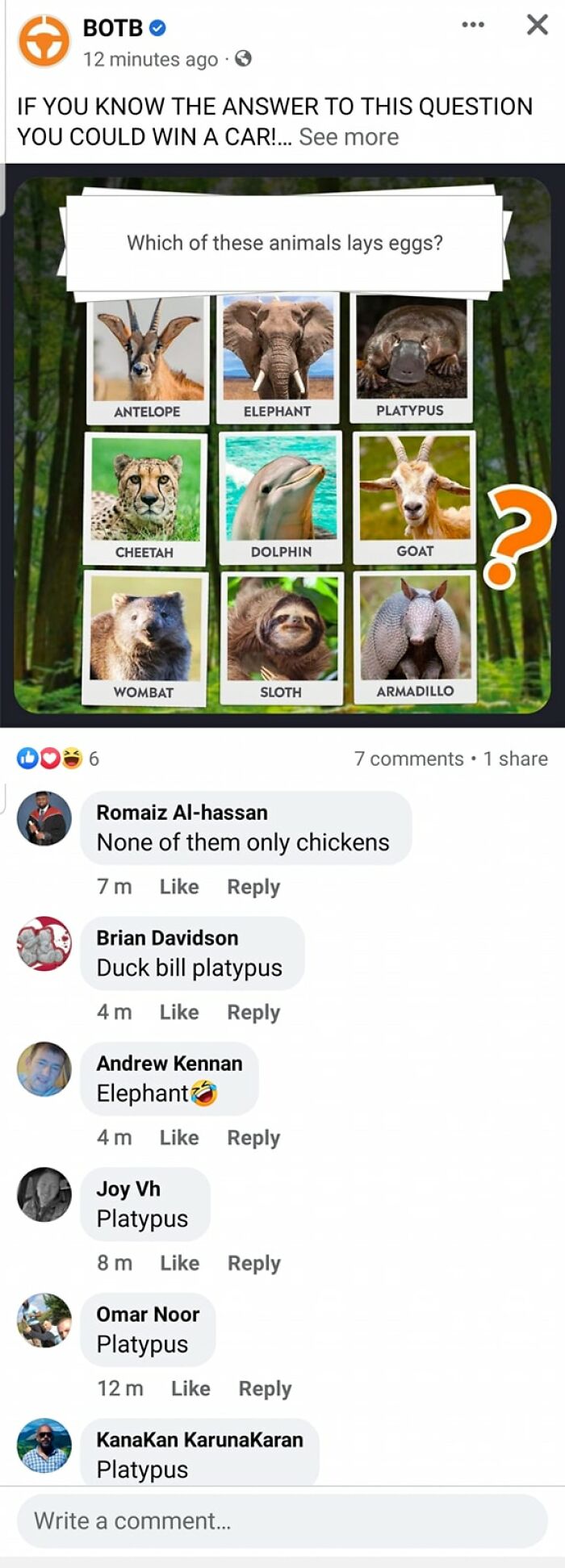 Only Chickens Lay Eggs. Only The Educated Know The Platypus Is A Hoax