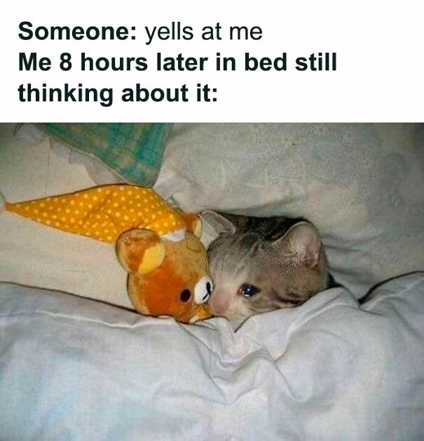 Cat experiencing social anxiety, cuddling a teddy bear in bed late at night.