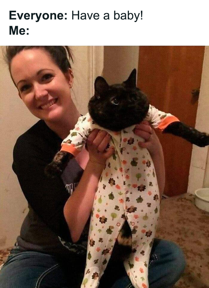 Funny-Childfree-Life-Humor