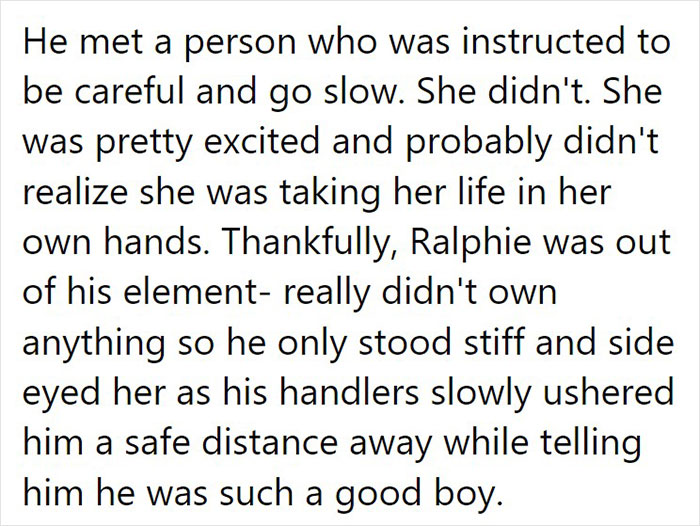 Animal Shelter Can't Say Much Good About This French Bulldog So They Make Up A Great Post Exposing His Shortcomings In Detail