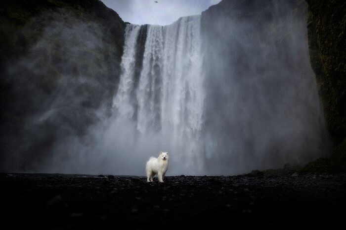 Húgó At Skógafoss