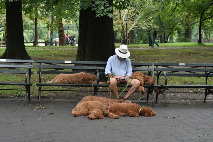 Visto en Central Park