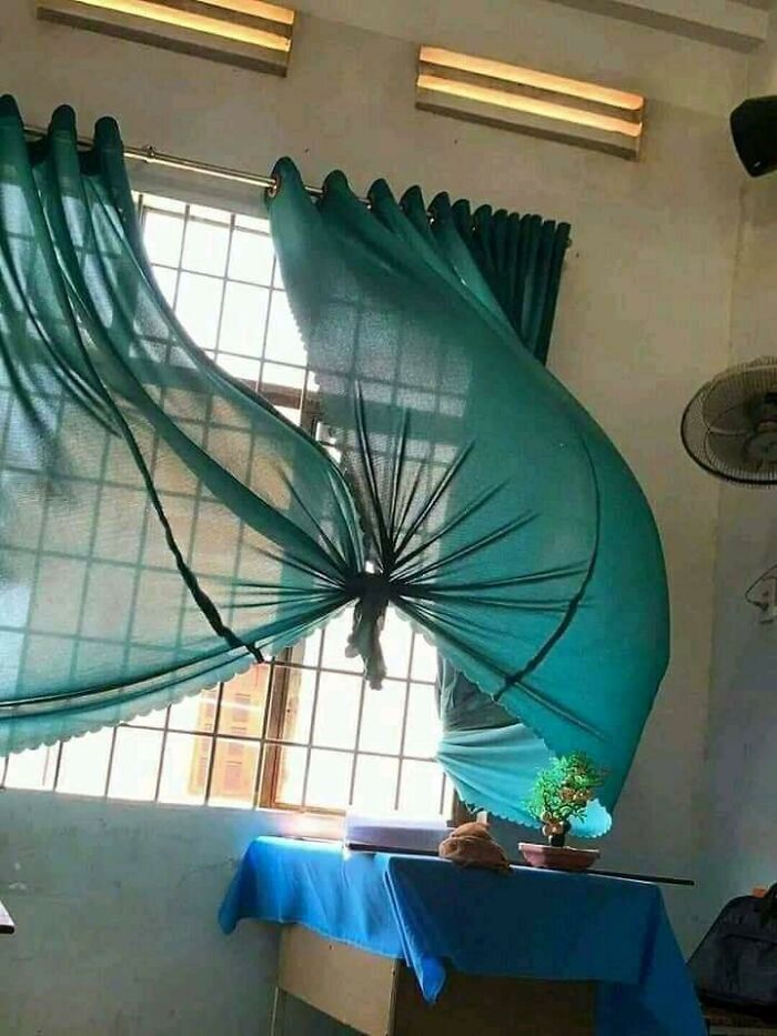 Funny-Weird-No-Context-Pics