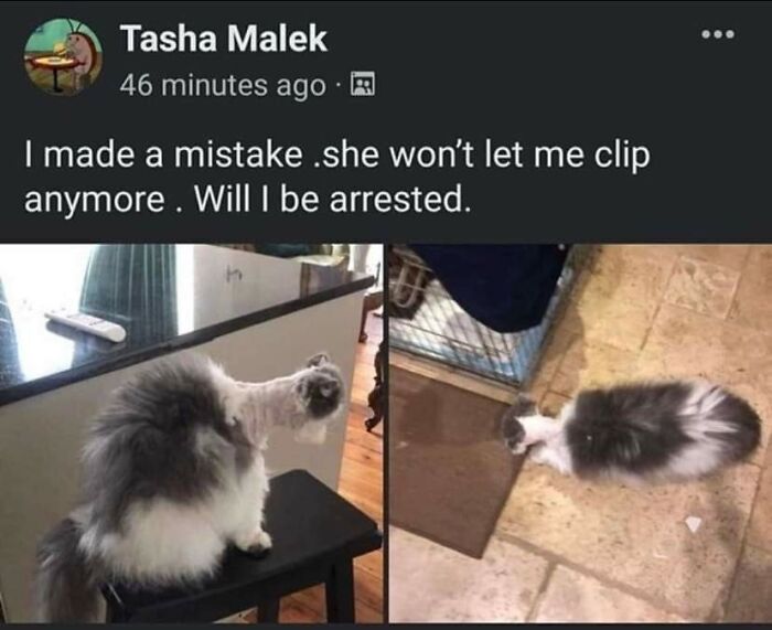 Screenshots-With-Or-Without-Context