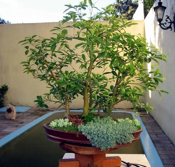 35 Lessons People Admit They Learned Embarrassingly Late In Life, As Shared In This Online Group