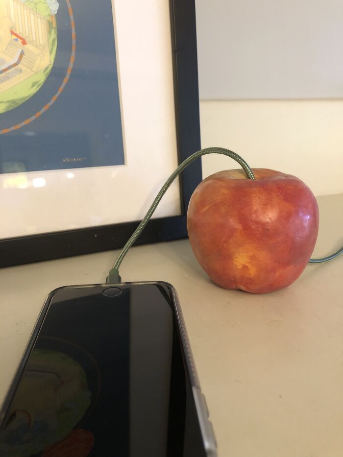 Apple Charger For My Apple iPhone