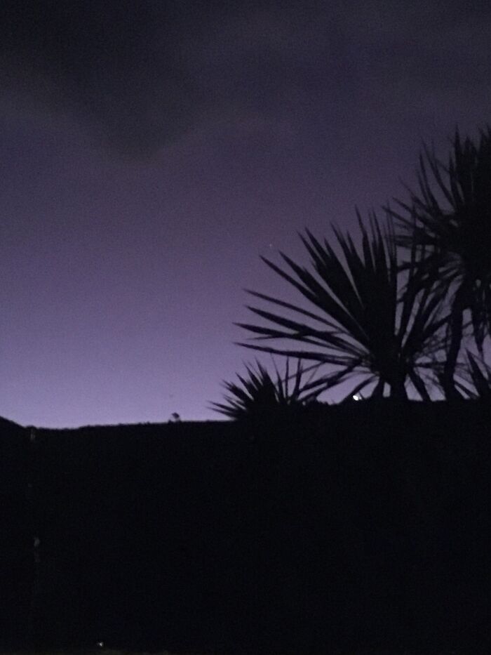 I Feel, The Lavender Haze Creeping Up On Me…