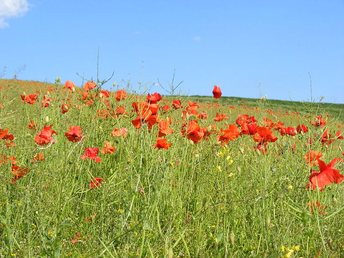 "The Road To Hell Is Paved With Good Intentions": 30 Times People Wanted Nothing But Good Yet It All Ended Badly, As Told In This Online Group