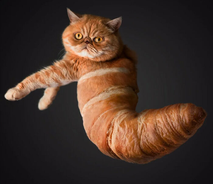 A Photoshop Artist Uses His Imagination To Insert Animals Where You Wouldn't Expect Them To Be ( 18 Pics)