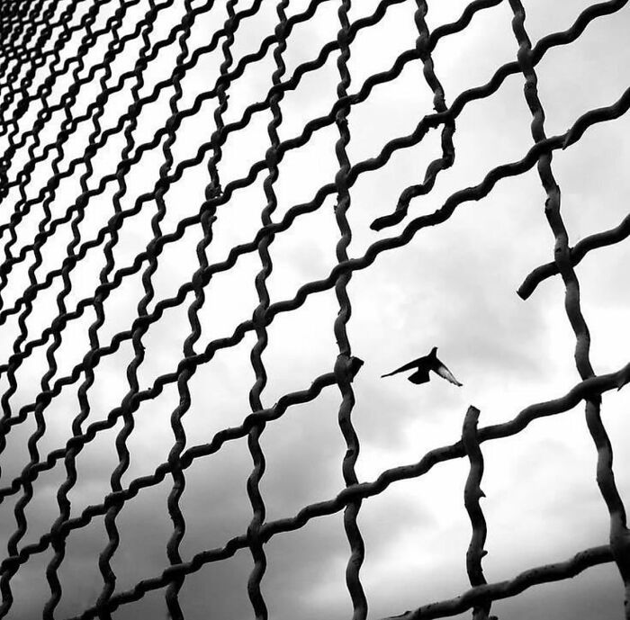 Instagram Account Shares Beautiful Photos Taken On The Street Or In Public Places (30 New Pics)