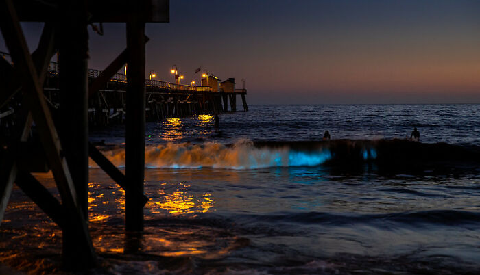 30 Of The Most Unusual, Most Mysterious, Or Just Weird Things Seafarers Ever Experienced During Their Journeys