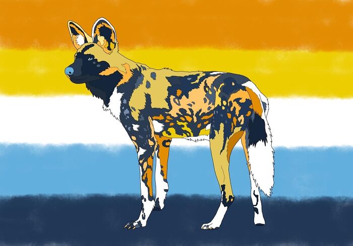Aroace Wild Dog, I Love Making Art In Pride Flag Colours!