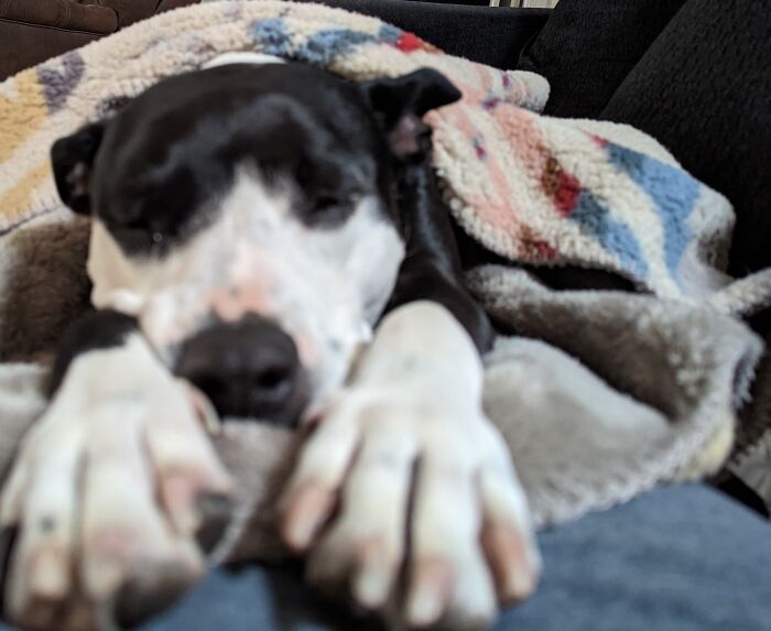 Kitty Montgomery Always Needs A Blanket