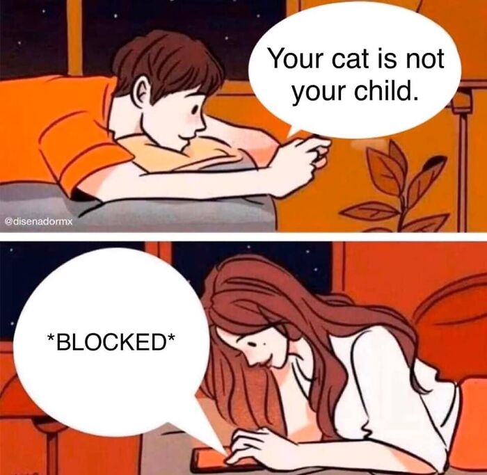 Funny-Cat-Jokes-Memes-Meow-Incorporated