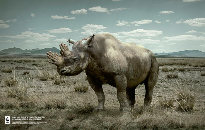 32 Powerful Wwf Ads To Save Animals