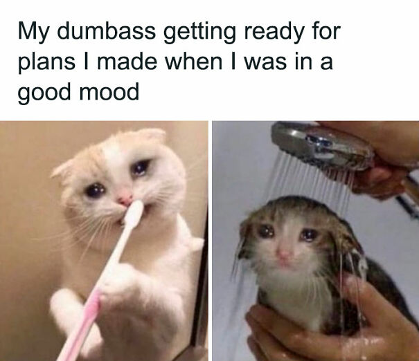 Sad cat meme about social anxiety, brushing teeth and being showered, with text on making plans in a good mood.