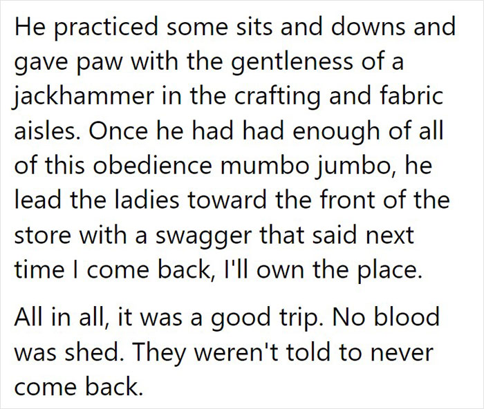 Animal Shelter Can't Say Much Good About This French Bulldog So They Make Up A Great Post Exposing His Shortcomings In Detail