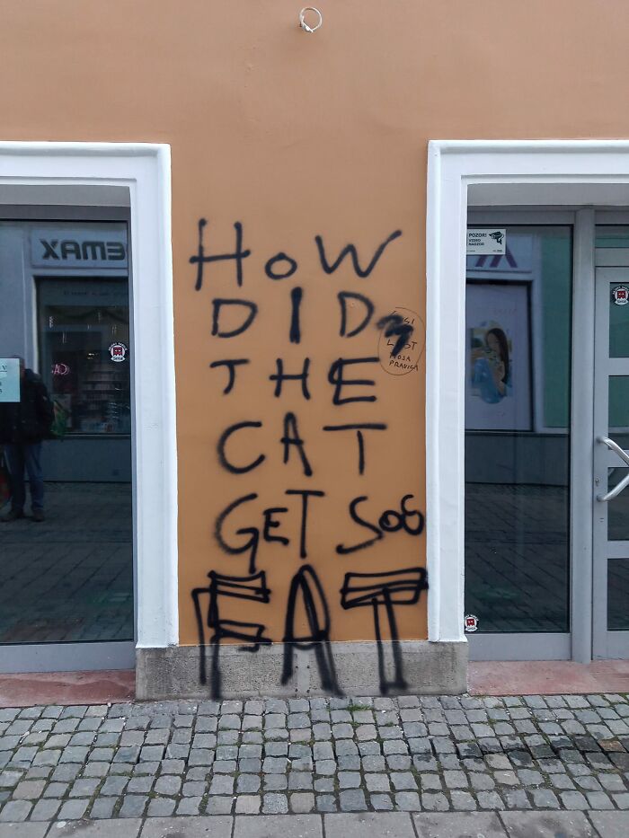 Funny-Questionable-Graffiti