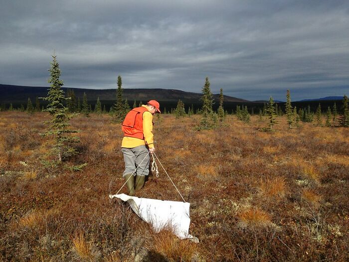 People In This Thread All Earn Above $100k A Year And Share What They Do For A Living (30 Answers)