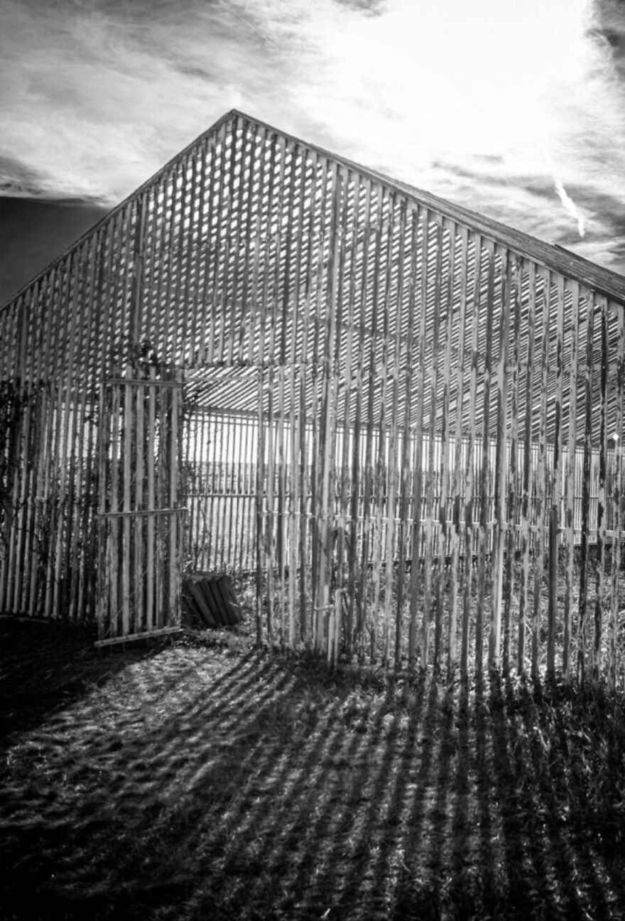 Reckless Abandon: The American West