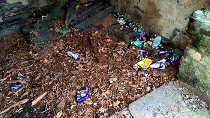 According To Folks Online, If A Person Does Or Says These 30 Things, They Might Not Be Very Intelligent