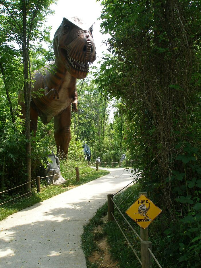 42 Historical Facts Which Appear To Be Too Bizarre To Be True Yet They Are, As Told By Folks In This Online Thread