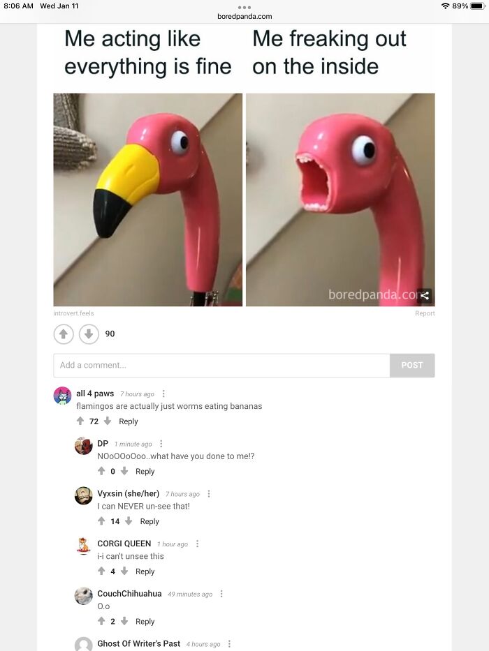 Flamingos Are Worms Eating Bananas