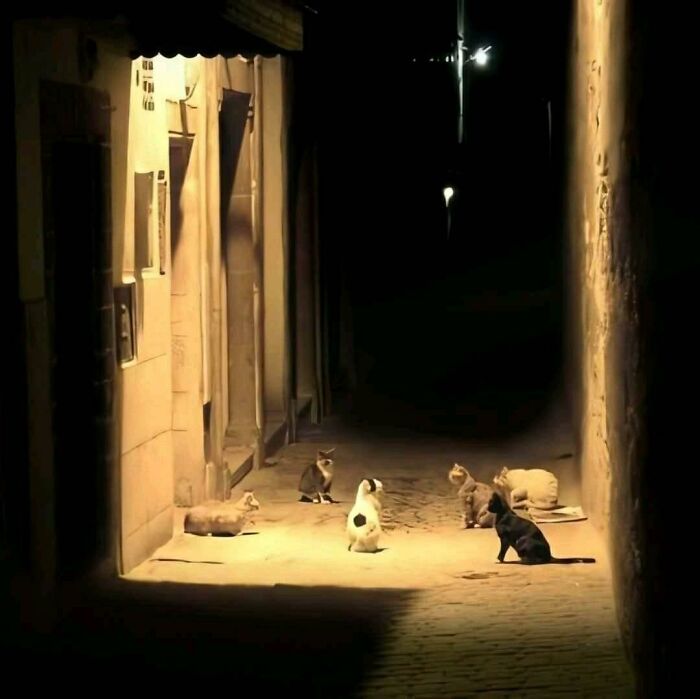 Funny-Weird-No-Context-Pics