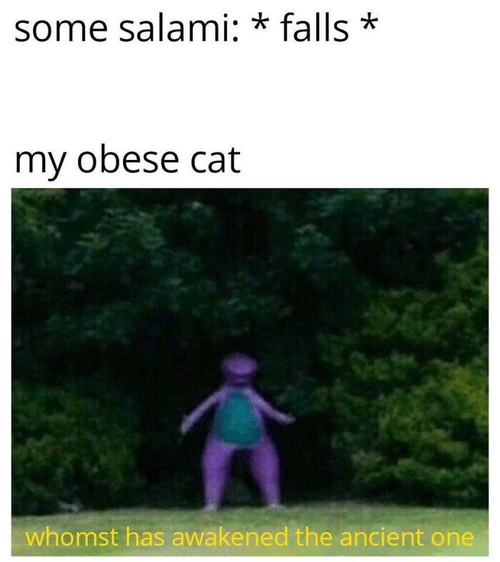 Funny-Cat-Jokes-Memes-Meow-Incorporated